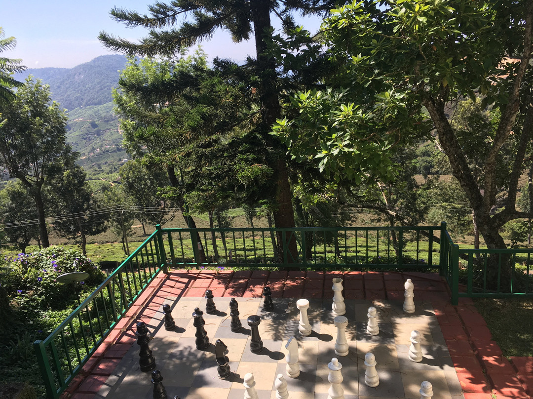 Club Mahindra Munnar主图