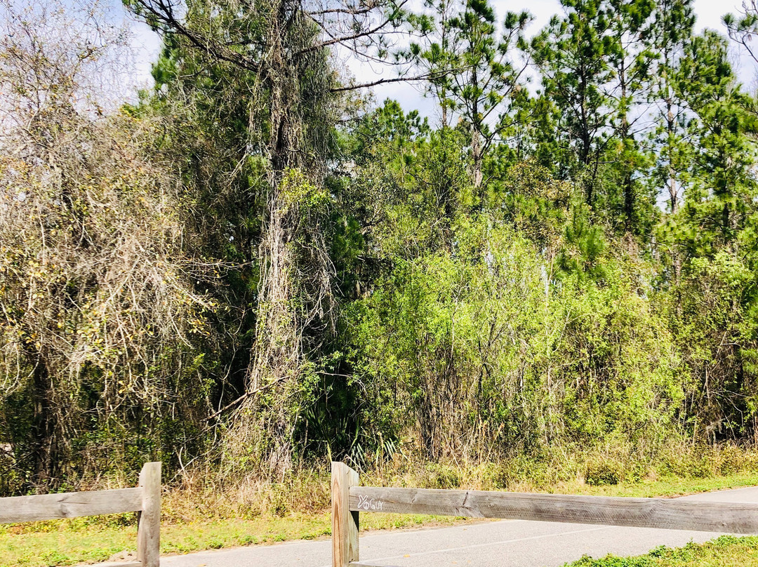 Palatka-Lake Butler State Trail-Lake Butler必去景点