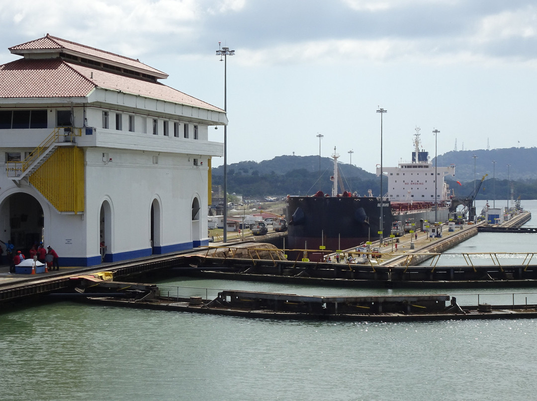 Panama Canal Tours景点图片