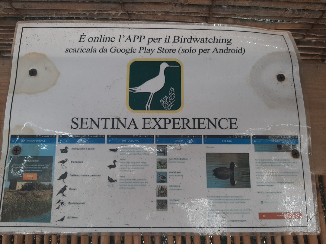 Riserva Naturale Regionale Sentina-圣贝内代托-德尔特龙托必去景点