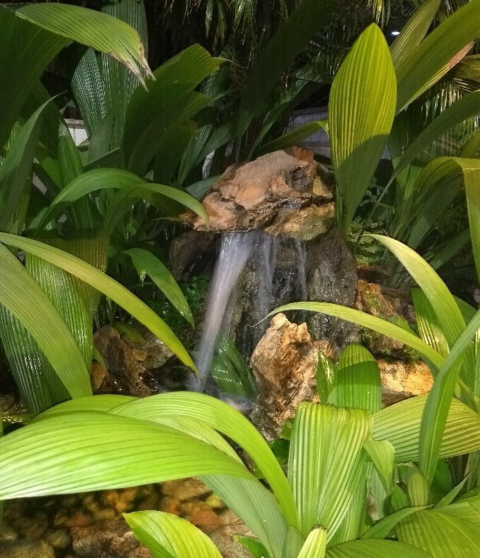 Plaza Inn Flat Araxa主图