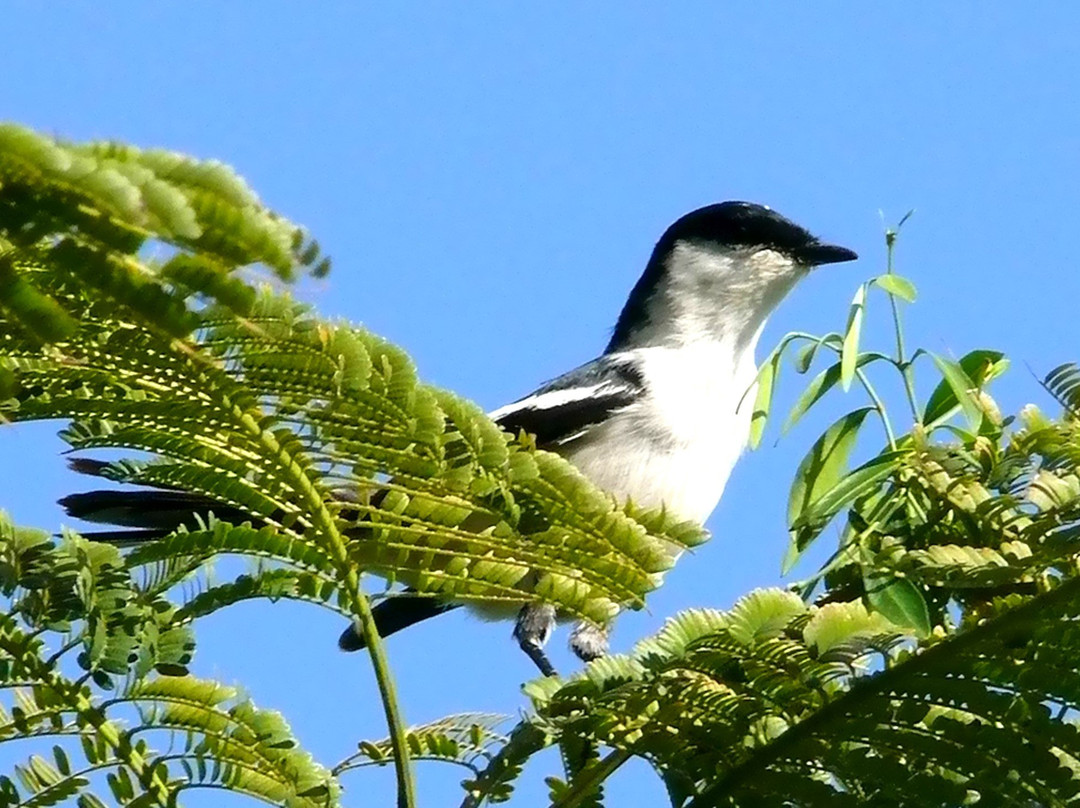 Les Chutes de la Madeleine-Yate必去景点