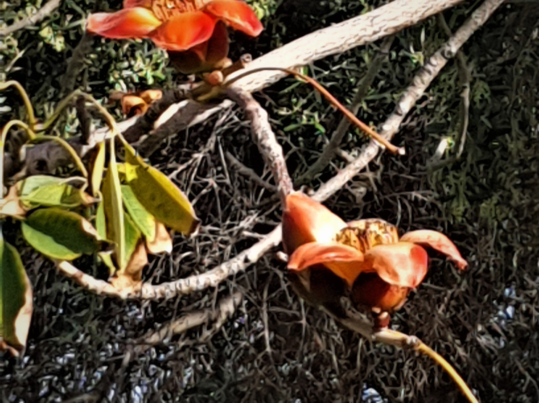 Raanana Park-Ra'anana必去景点