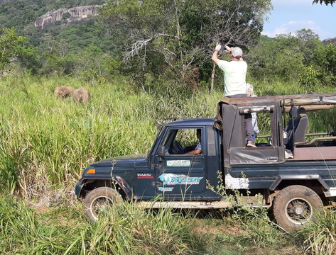 Eranga Kurera Tours-尼甘布必去景点