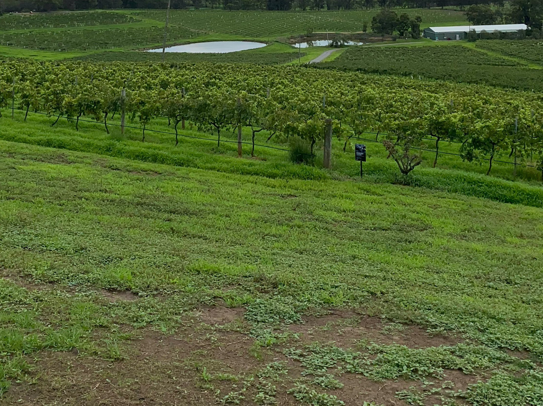 斯派瑟葡萄庄园酒店主图