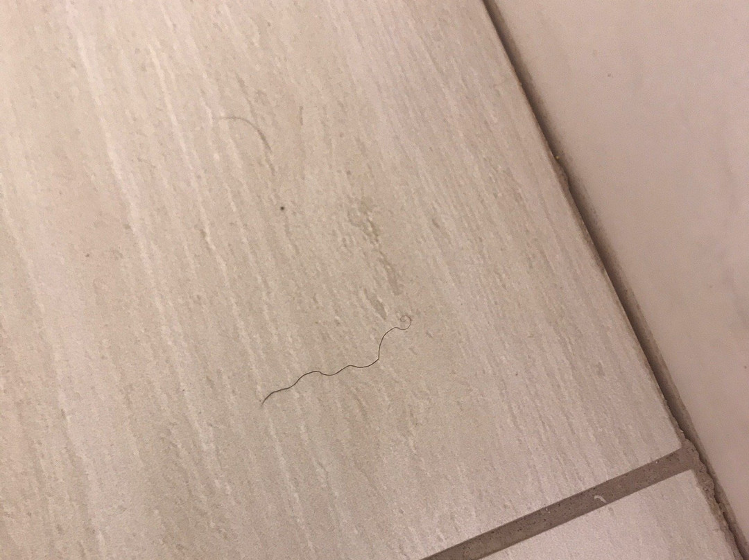 Holiday Inn Express & Suites Carrollton West By IHG主图