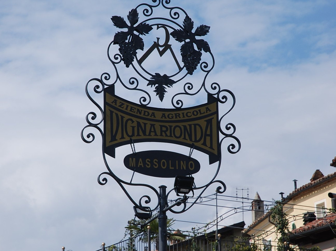 Massolino Winery景点图片