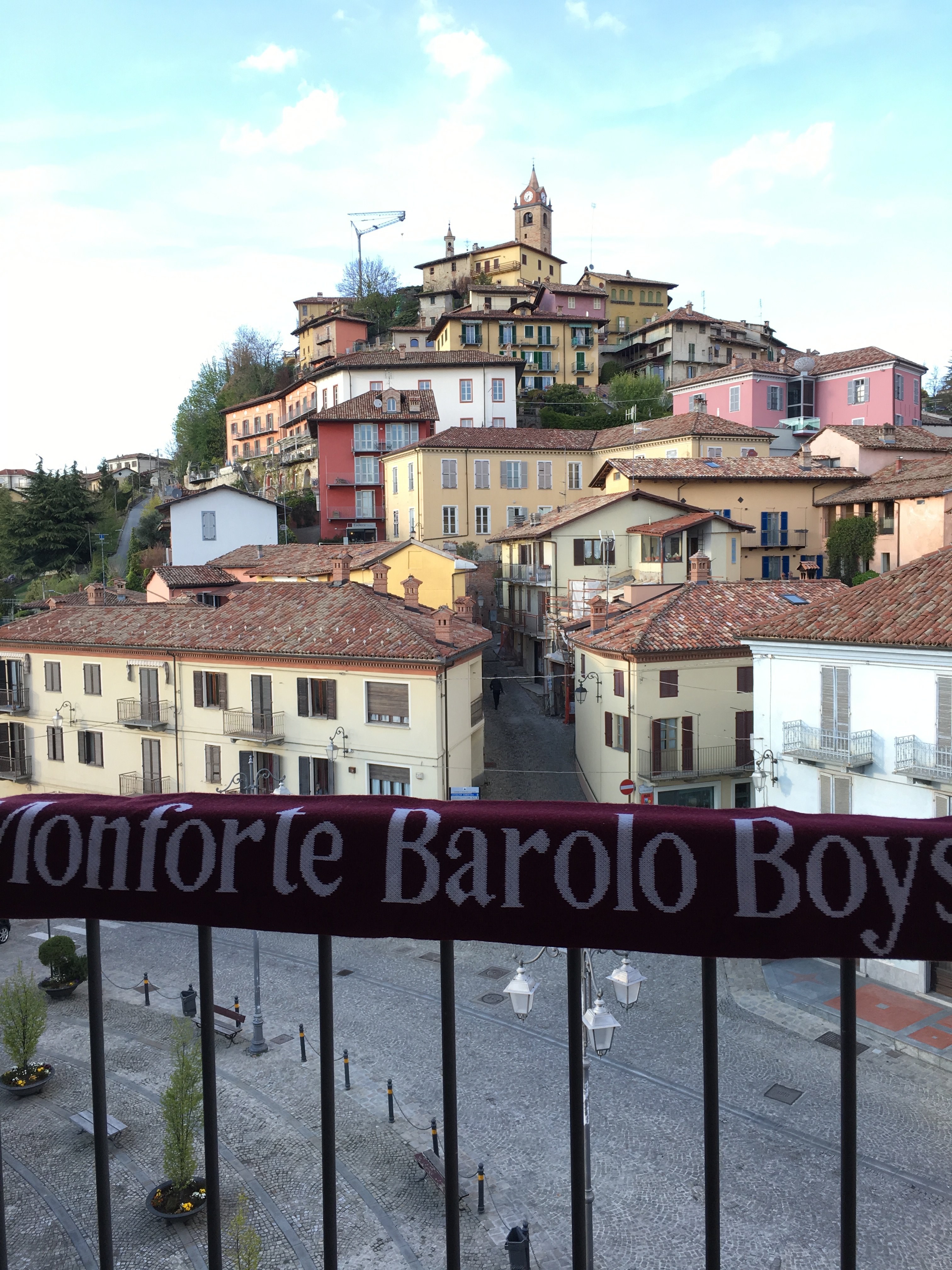 Hotel Il Grappolo D'Oro-酒店景观