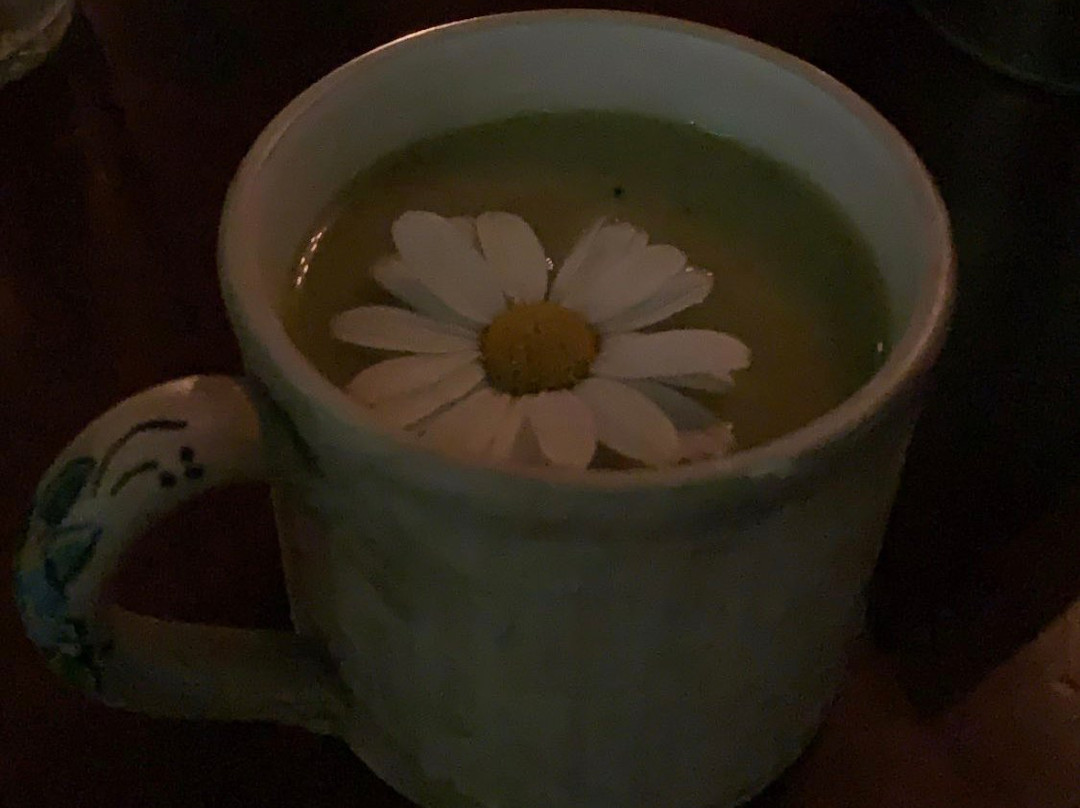 Circus Cocktail Bar-卡塔尼亚必去景点