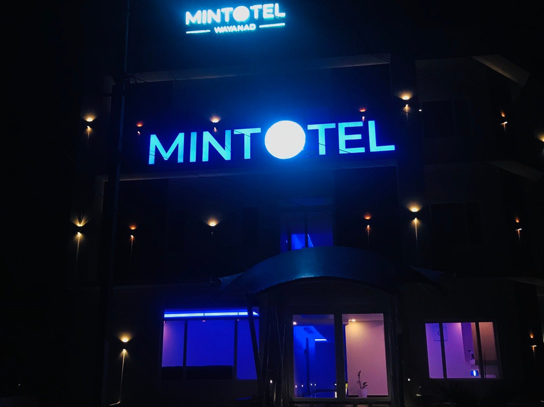 Mintotel wayanad主图