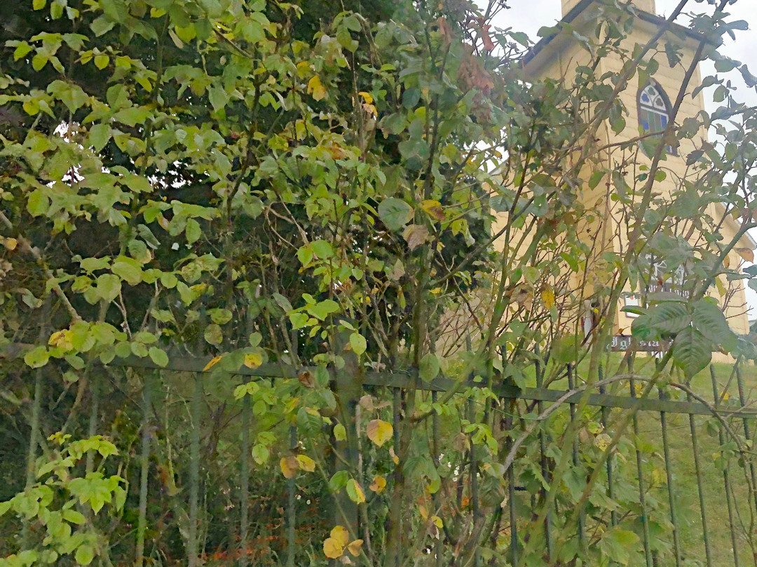 Iglesia Luterana-巴拉斯港必去景点