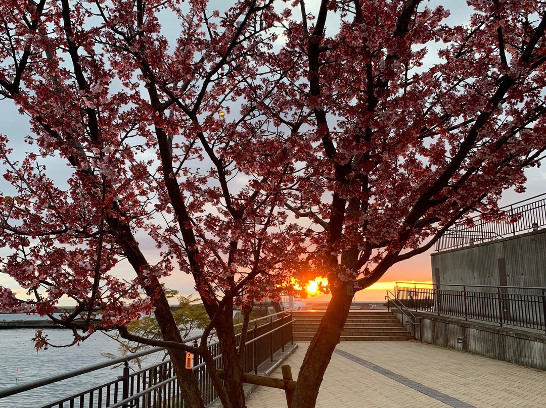 Atami Marina-热海市必去景点