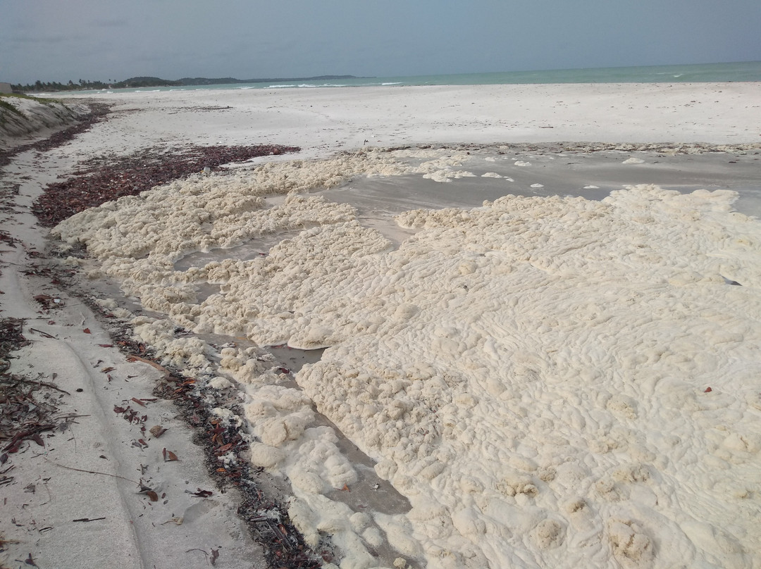 Praia do Sossego景点图片