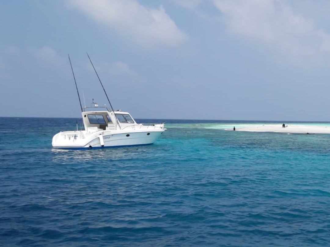 Albatros Top Diving-呼拉岛必去景点