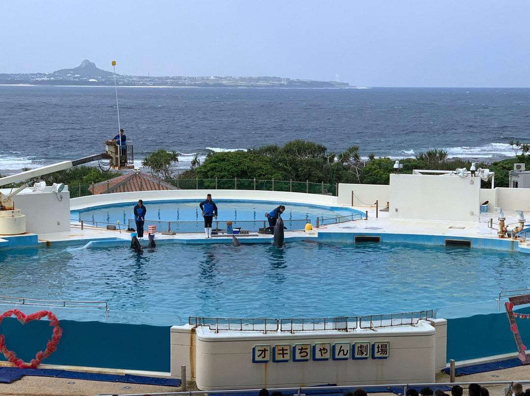 冲绳海洋博公园海豚表演剧场景点图片