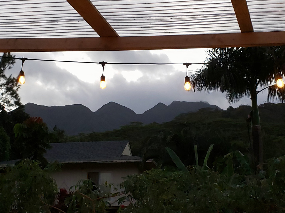 Maui Kosher Farm-怀露库必去景点