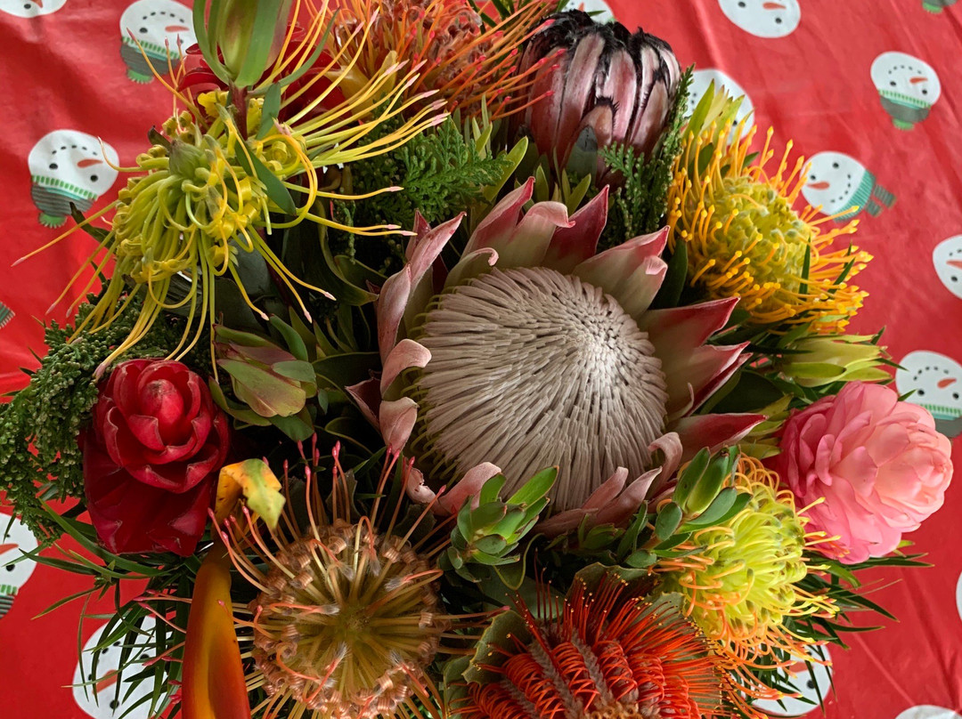 No Ka Oi Protea Farm-库拉必去景点