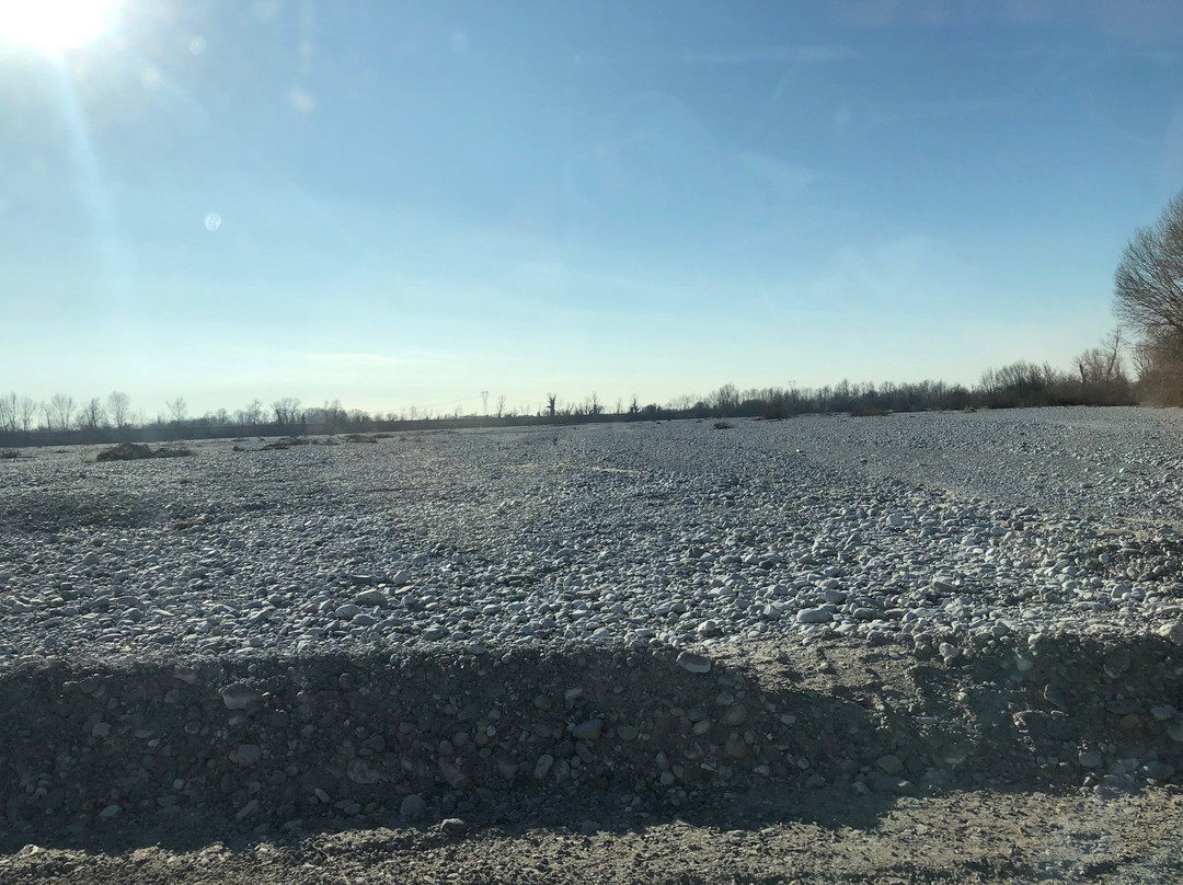 Risorgive del Vinchiaruzzo