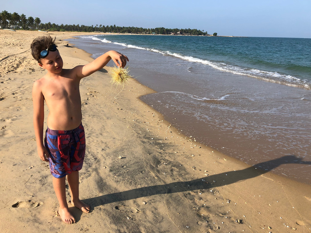 Seth Dev Lagoon Chalets Kalpitiya主图