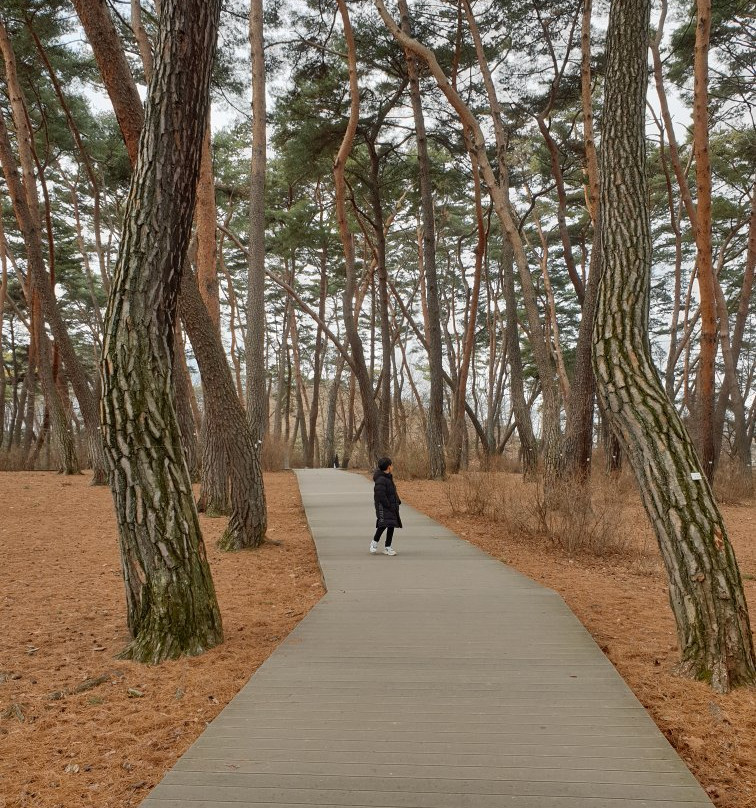 Cheongnyeongpo Cape-宁越郡必去景点