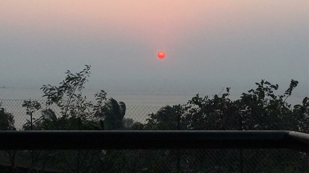 The Lighthouse主图