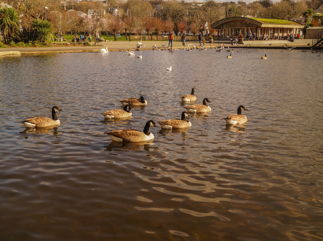 Coronation Park and Boating Lake-赫尔斯顿必去景点