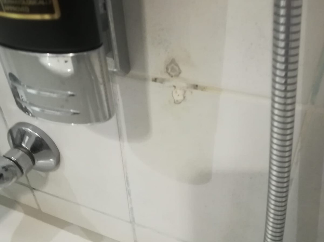 亚历山大酒店主图