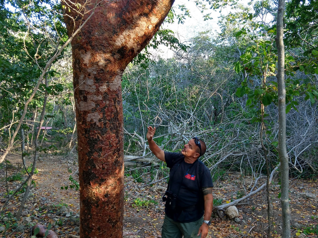 Outdoor Bonaire-Kralendijk必去景点