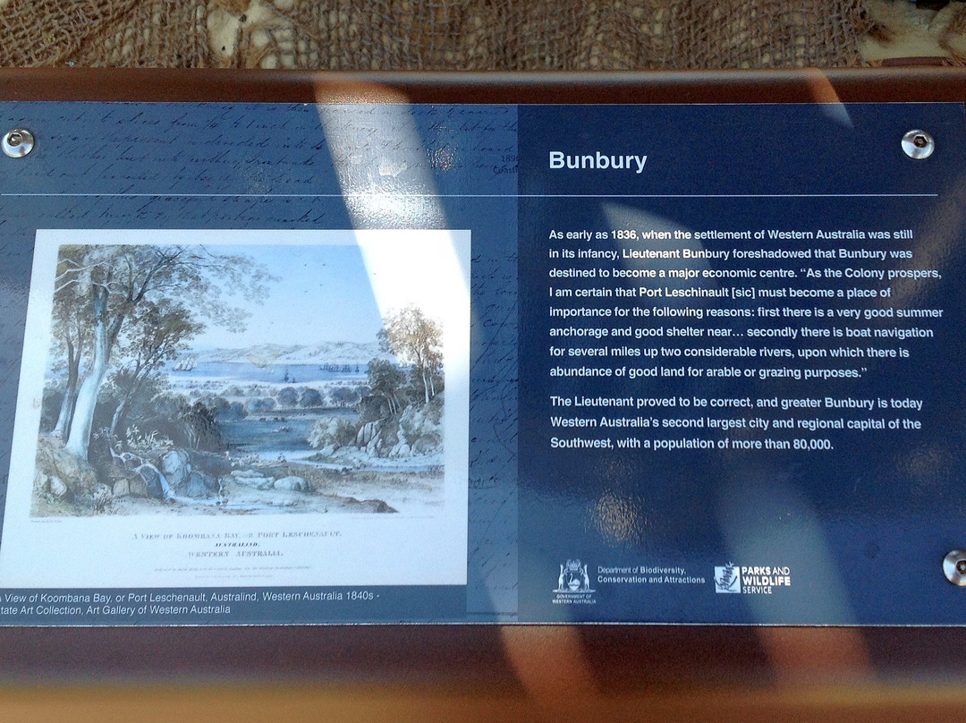 Mangrove Cove Lookout-班伯利必去景点