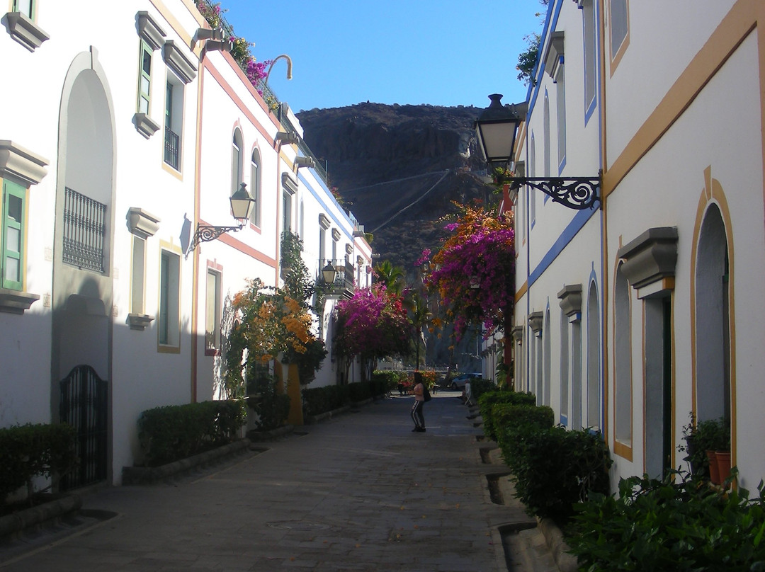 Barranco de Mogan景点图片