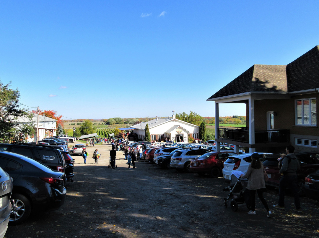 Vignoble Les Vents D'ange-Saint-Joseph-du-Lac必去景点