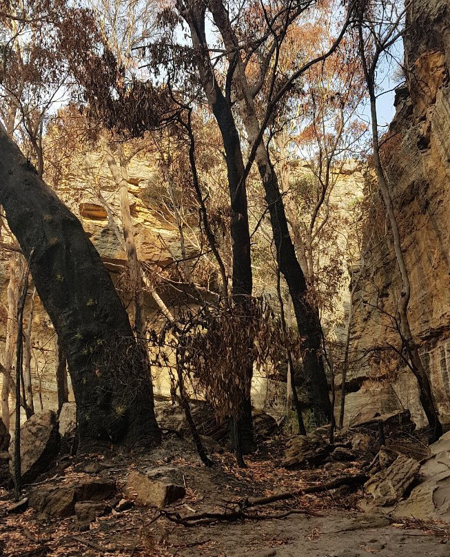 Blackfellows Hand Cave-利特高必去景点