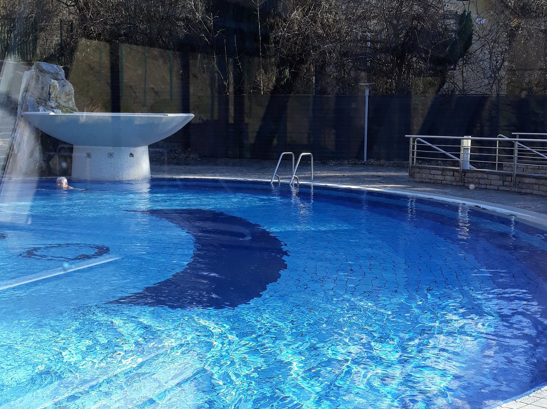 Hotel Vita - Terme Dobrna主图