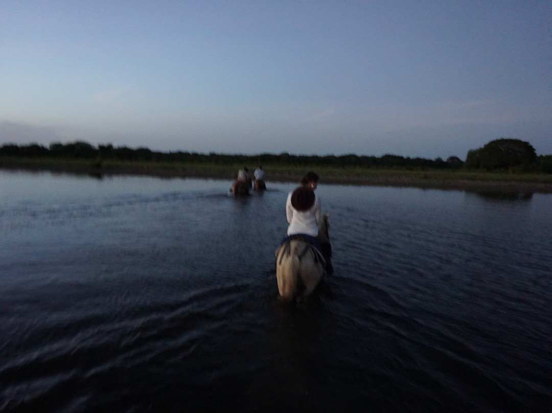 Wild Llanos Tours and Safaris景点图片