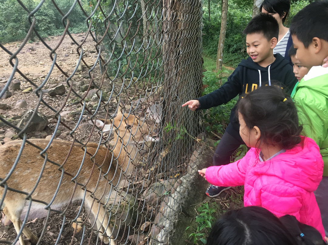 Alba Wellness Resort By Fusion主图