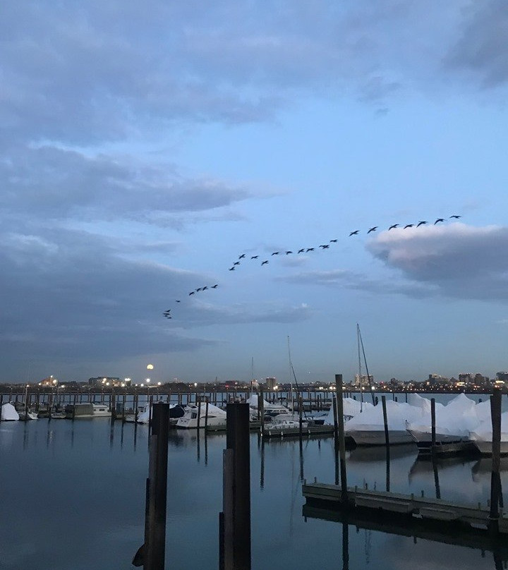 Flushing Bay Promenade-东艾姆赫斯特必去景点