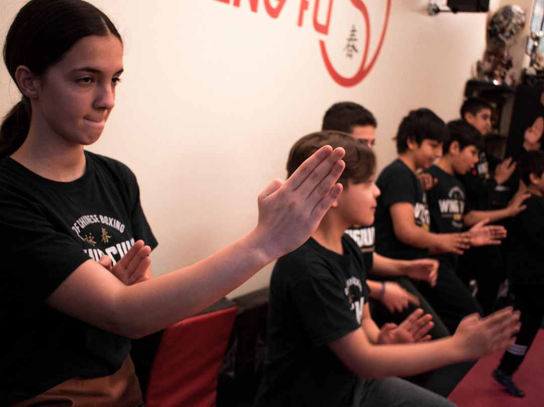 Jack Kontou Wing Chun Kung Fu - JKWC景点图片