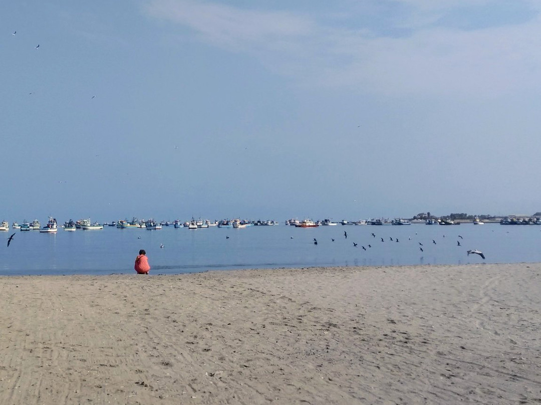 The Boulevarde-帕拉卡斯必去景点