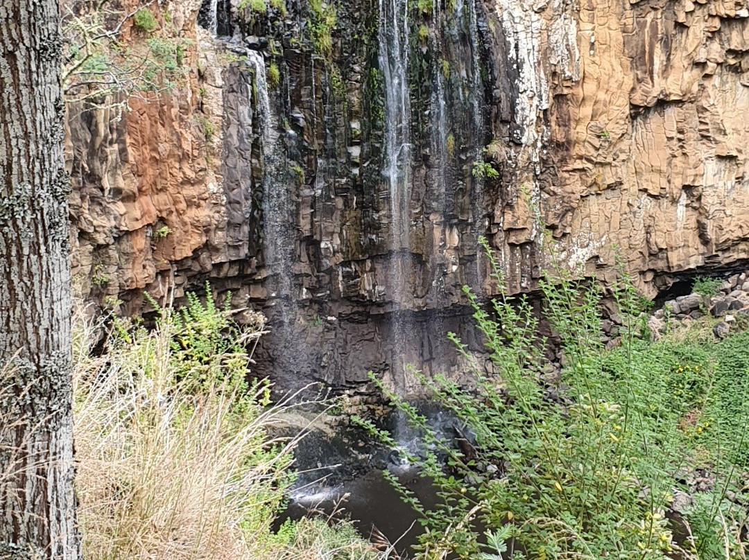 Green Guide Explorer-巴拉瑞特必去景点