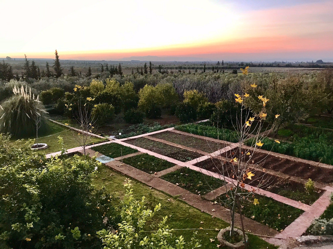 Riad Le Ksar de Fes主图