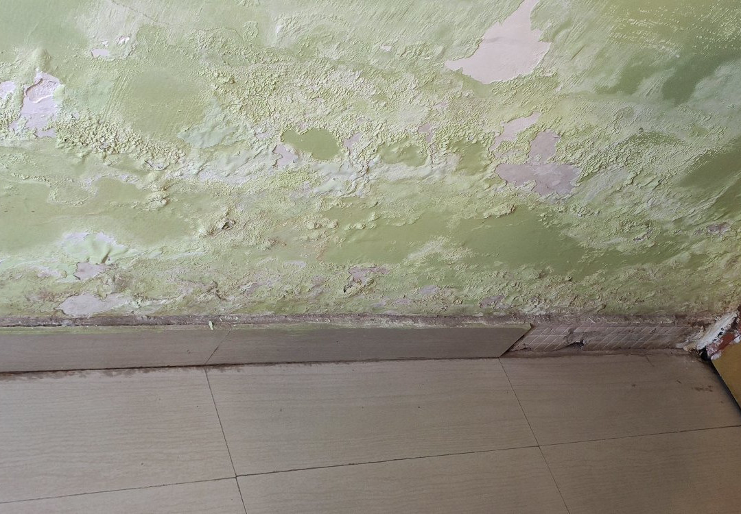 Hotel Sukh Sagar Inn主图