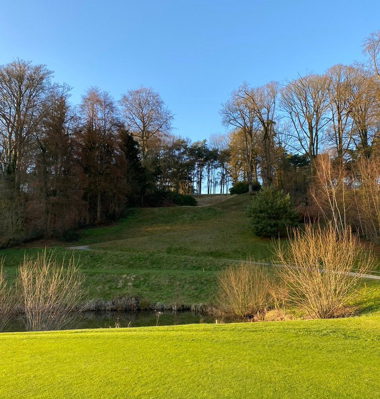 Golf du Bercuit景点图片