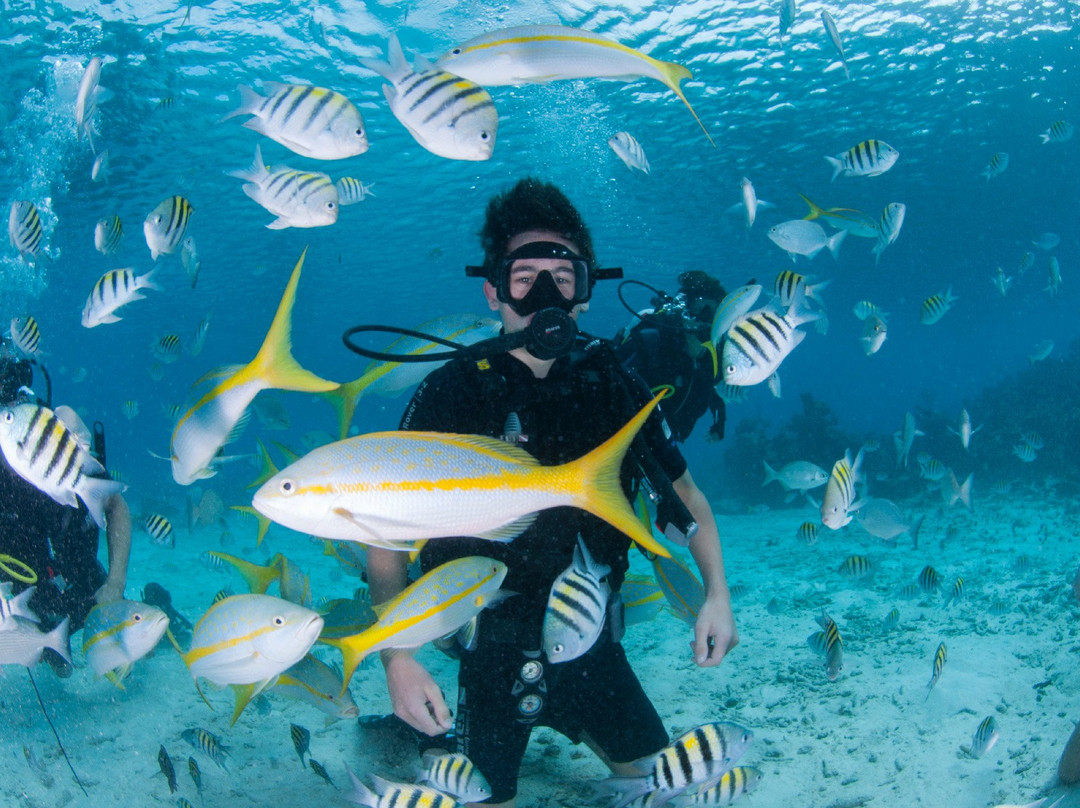 Casa Particular Lidia y Julio主图