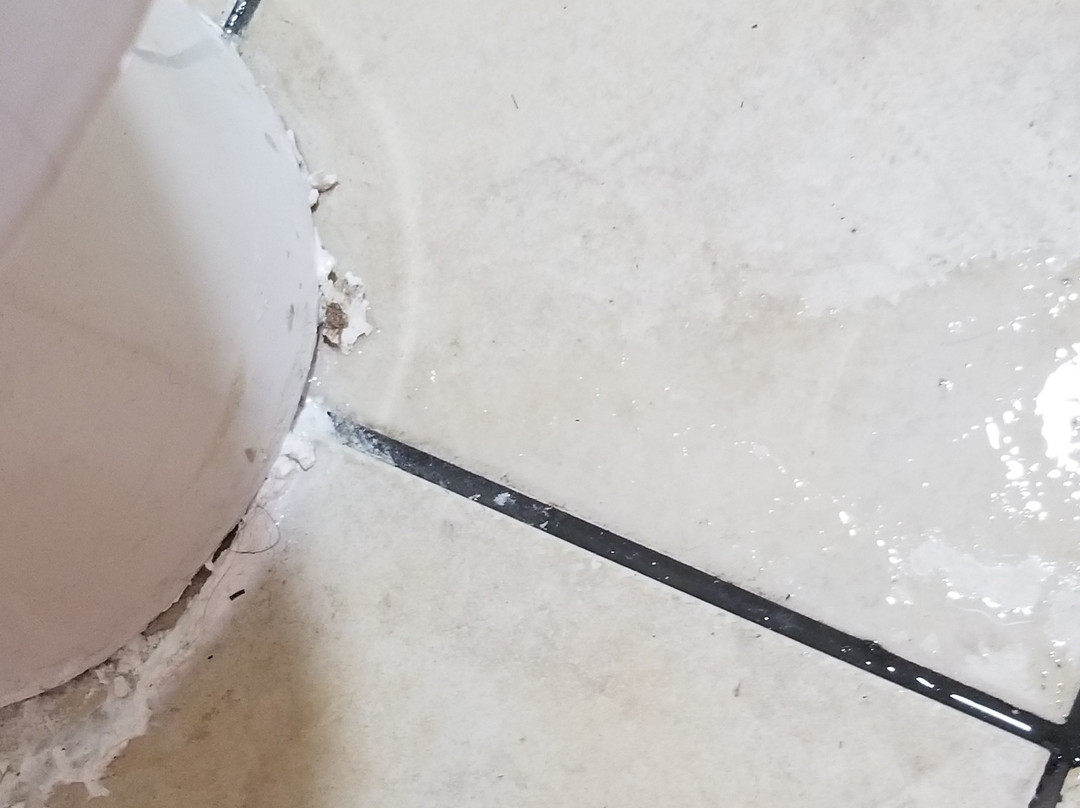 Baymont by Wyndham Orangeburg North主图