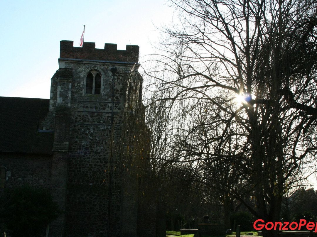 汉姆东自然保护区-伦敦必去景点