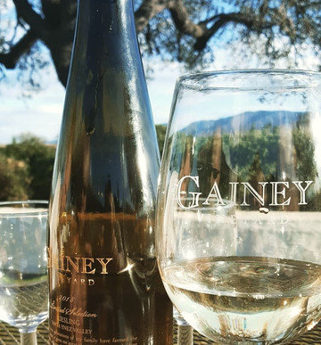 皇冠城堡酒店主图