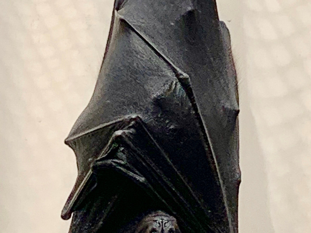 Lubee Bat Conservancy-盖恩斯维尔必去景点