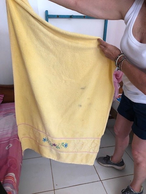 Jayanthi Surf Dreams主图