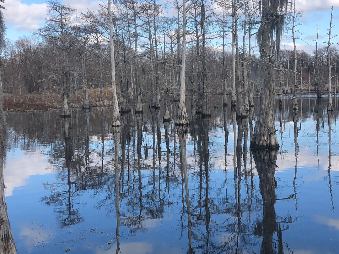 Black Bayou Lake National Wildlife Refuge景点图片