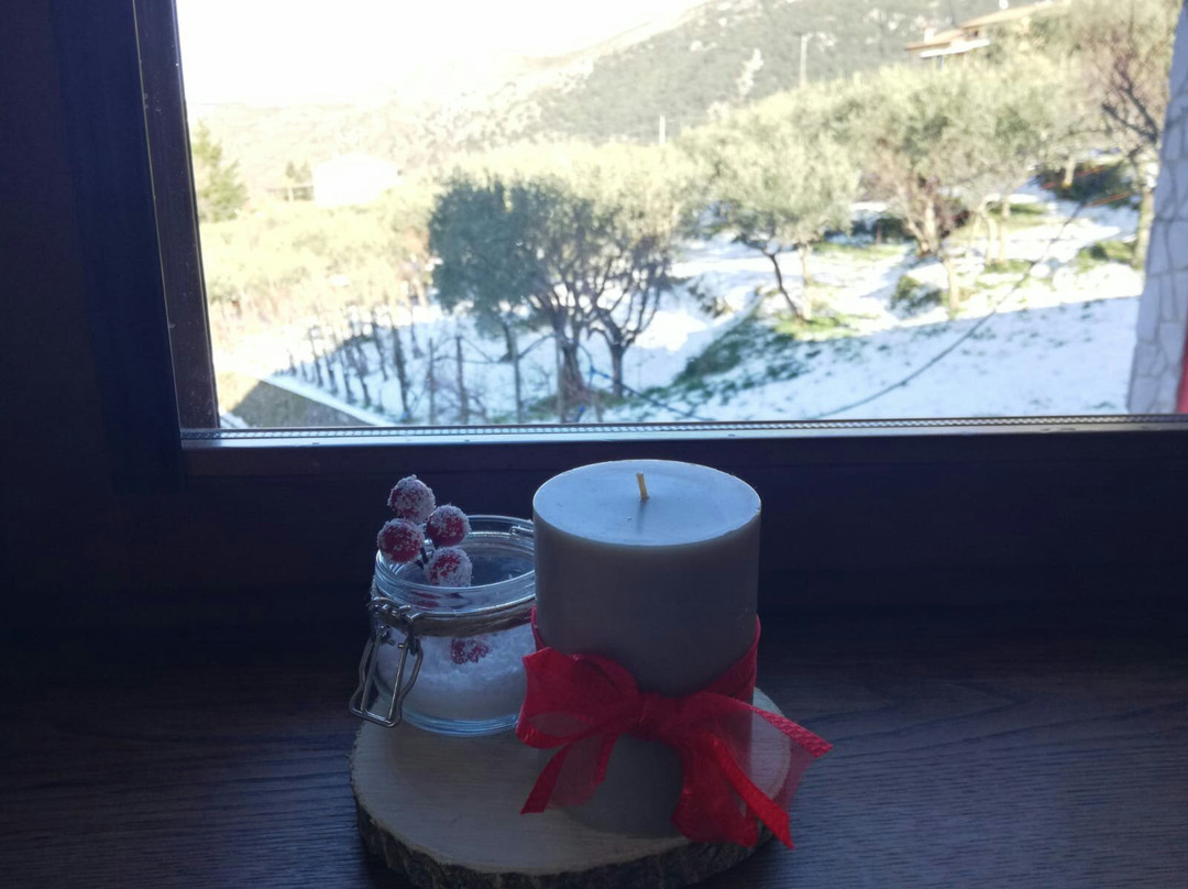 Agriturismo Terra Verde主图